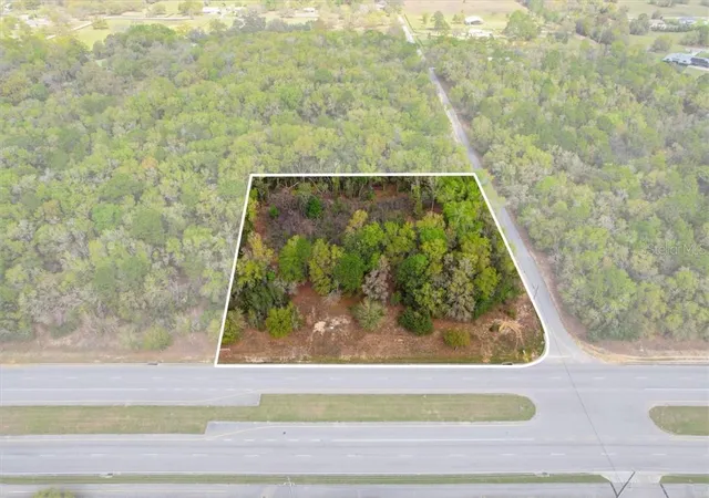 Photo 1 of Land for sale at 161 W Norvell Bryant Hwy, Hernando, FL 34442 | MLS# CC853635 | Listing updated on 2026-10-08