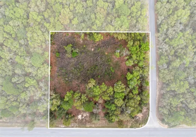 Photo 3 of Land for sale at 161 W Norvell Bryant Hwy, Hernando, FL 34442 | MLS# CC853635 | Listing updated on 2026-10-08