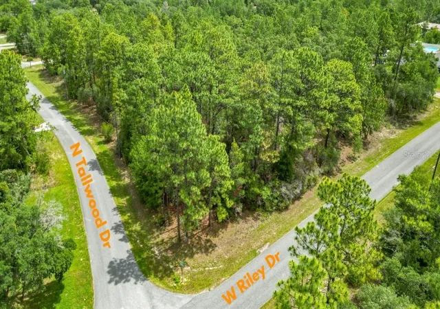 Photo 2 of Land for sale at 6951 N Tallwood Dr, Citrus Springs, FL 34434 | MLS# CC855228 | Listing updated on 2026-10-08