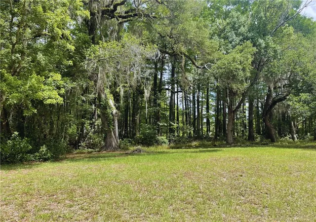 Photo 3 of Land for sale at 9381 S Great Oaks Dr, Floral City, FL 34436 | MLS# CC855510 | Listing updated on 2026-10-08