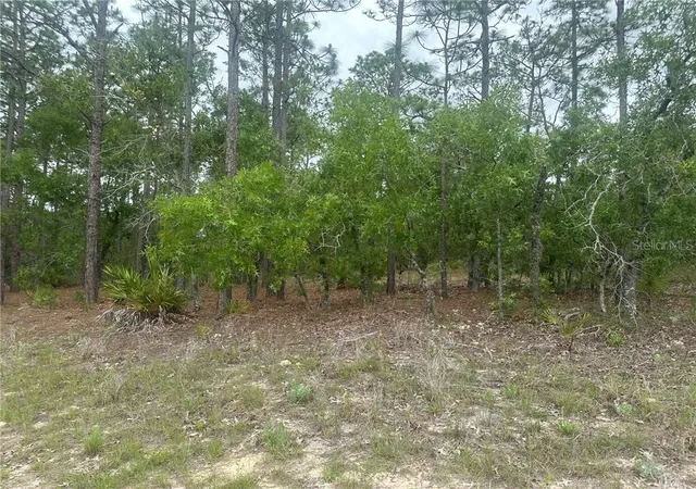 Photo 1 of Land for sale at 4809 W Gypsum Dr, Beverly Hills, FL 34465 | MLS# CC855843 | Listing updated on 2026-10-08