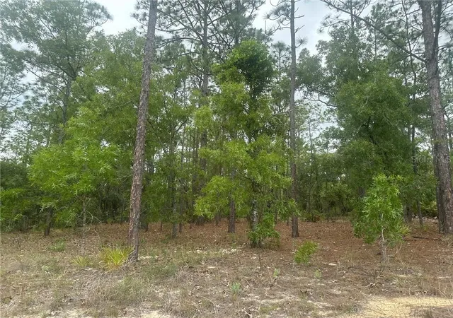 Photo 3 of Land for sale at 4809 W Gypsum Dr, Beverly Hills, FL 34465 | MLS# CC855843 | Listing updated on 2026-10-08