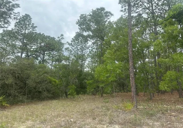 Photo 3 of Land for sale at 4809 W Gypsum Dr, Beverly Hills, FL 34465 | MLS# CC855843 | Listing updated on 2026-10-08