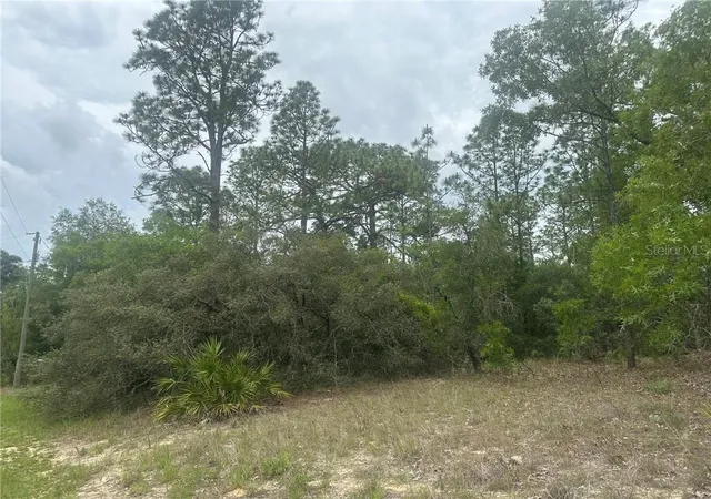 Photo 4 of Land for sale at 4809 W Gypsum Dr, Beverly Hills, FL 34465 | MLS# CC855843 | Listing updated on 2026-10-08