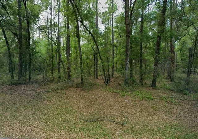 Land for sale at 9183 N Anton Way, Citrus Springs, FL 34434 | MLS# CC855977