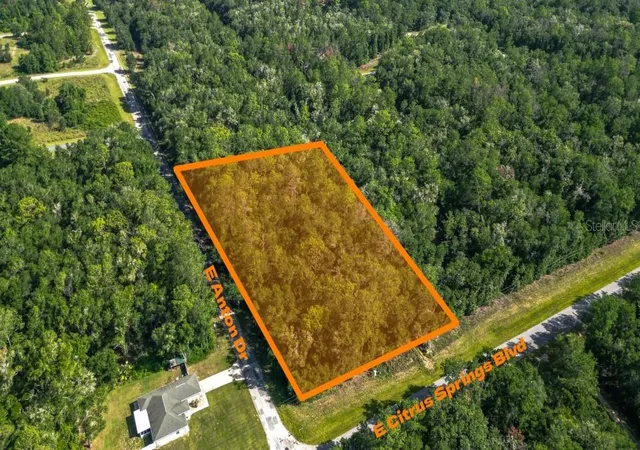 Land for sale at 825 E Anton Dr, Citrus Springs, FL 34434 | MLS# CC856292