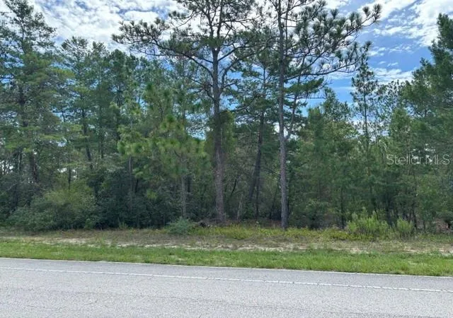 Photo 3 of Sale Pending at 8315 N Citrus Springs Blvd, Citrus Springs, FL 34433 | MLS# CC856773 | Listing updated on 2026-10-08