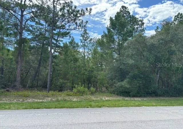 Photo 4 of Sale Pending at 8315 N Citrus Springs Blvd, Citrus Springs, FL 34433 | MLS# CC856773 | Listing updated on 2026-10-08
