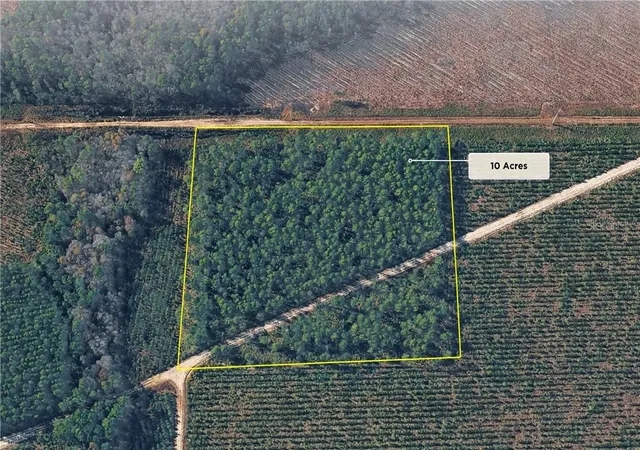 Photo 1 of Land for sale at 0 Hwy 17s, Green Cove Springs, FL 32043 | MLS# CC857299 | Listing updated on 2026-10-08