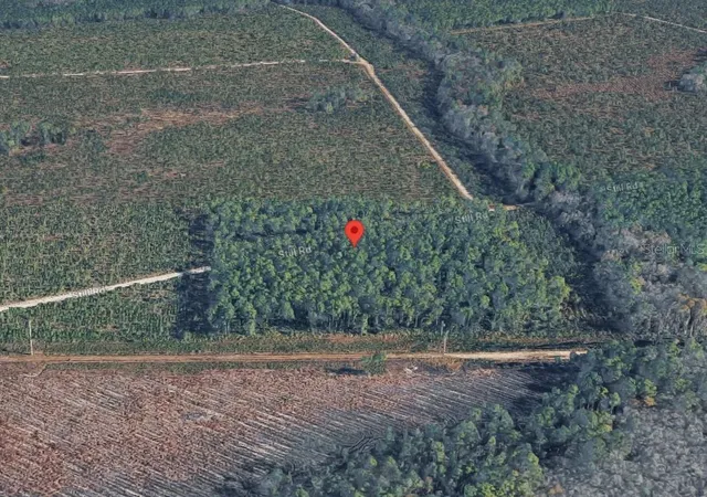 Photo 3 of Land for sale at 0 Hwy 17s, Green Cove Springs, FL 32043 | MLS# CC857299 | Listing updated on 2026-10-08
