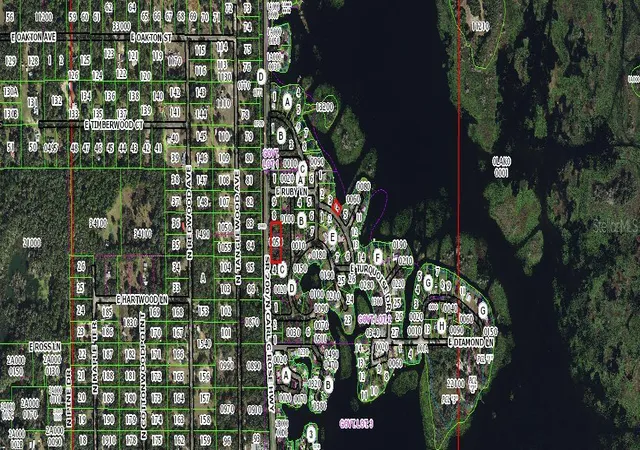 Photo 3 of Land for sale at 5075 N Carl G Rose Hwy, Hernando, FL 34442 | MLS# CC857334 | Listing updated on 2026-10-10