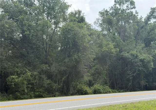 Photo 3 of Land for sale at 5075 N Carl G Rose Hwy, Hernando, FL 34442 | MLS# CC857334 | Listing updated on 2026-10-10