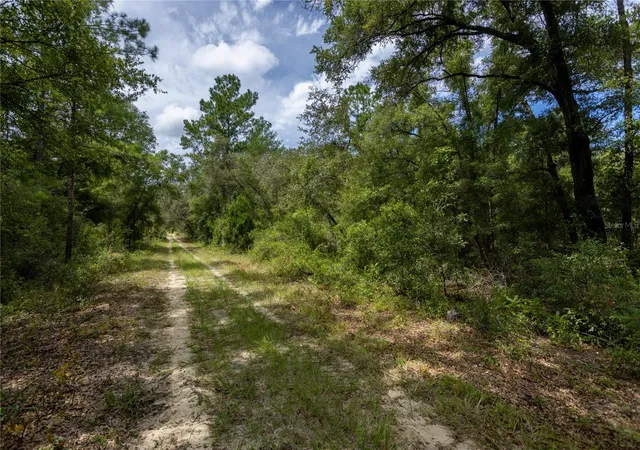 Land for sale at 0 NE 81st Street, BRONSON, FL 32621 | MLS# GC543292