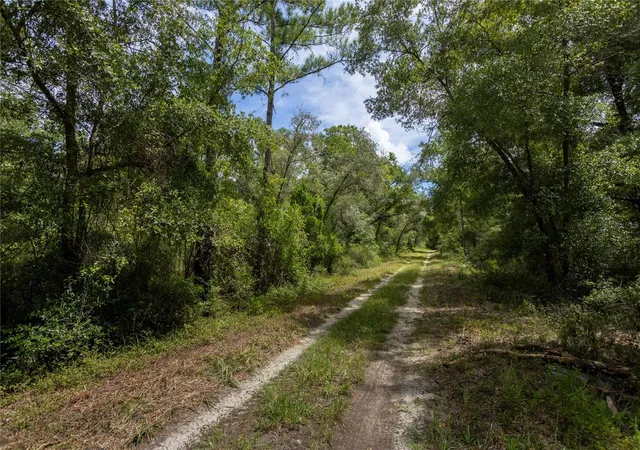 Photo 2 of Land for sale at 0 Ne 81st Street, Bronson, FL 32621 | MLS# GC543292 | Listing updated on 2026-09-14