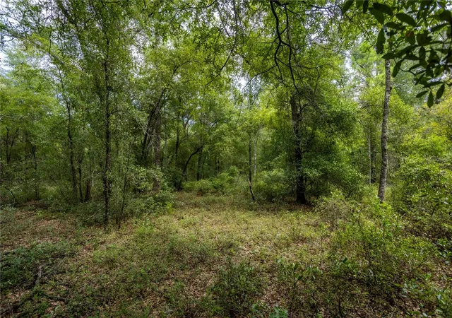 Photo 3 of Land for sale at 0 Ne 81st Street, Bronson, FL 32621 | MLS# GC543292 | Listing updated on 2026-09-14