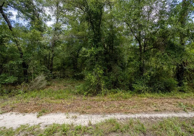 Photo 3 of Land for sale at 0 NE 81st Street, Bronson, FL 32621 | MLS# GC543292 | Listing updated on 2026-09-14