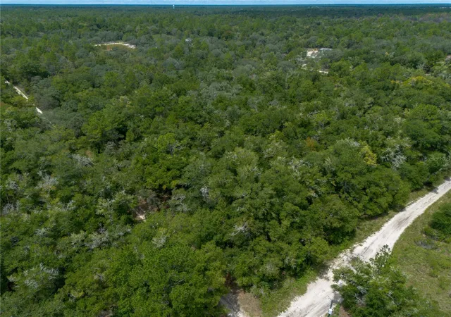 Photo 4 of Land for sale at 0 NE 81st Street, Bronson, FL 32621 | MLS# GC543292 | Listing updated on 2026-09-14