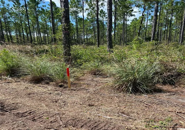 Photo 2 of Land for sale at Lots Se 3 & 4 Family Rd, Lake City, FL 32025 | MLS# O6439599 | Listing updated on 2026-10-07
