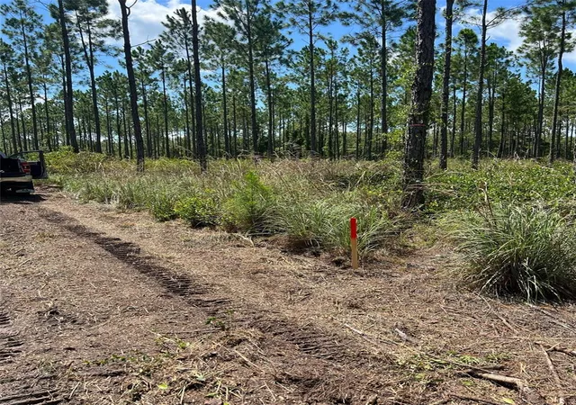 Photo 3 of Land for sale at Lots Se 3 & 4 Family Rd, Lake City, FL 32025 | MLS# O6439599 | Listing updated on 2026-10-07