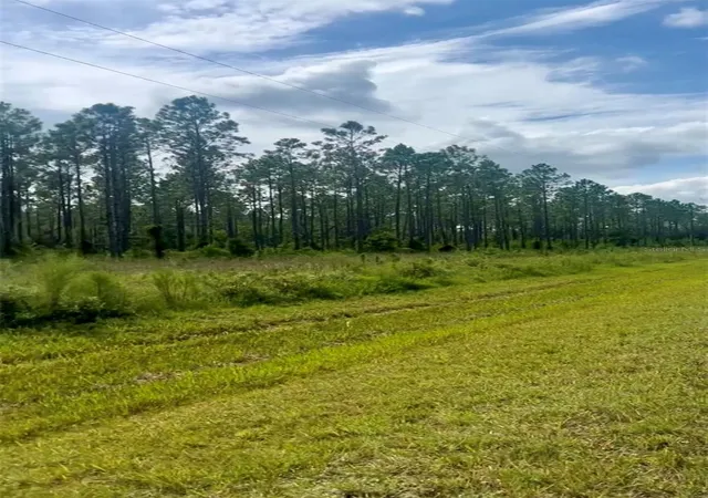 Photo 4 of Land for sale at Lots SE 3 & 4 Family Rd, Lake City, FL 32025 | MLS# O6439599 | Listing updated on 2026-10-07