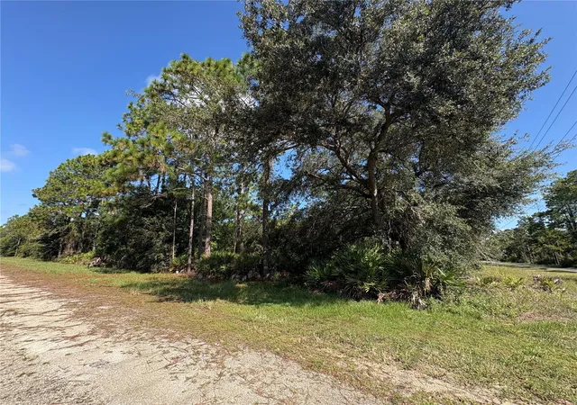 Photo 1 of Land for sale at 0 Alba, Indian Lake Estates, FL 33855 | MLS# P4939789 | Listing updated on 2026-09-06