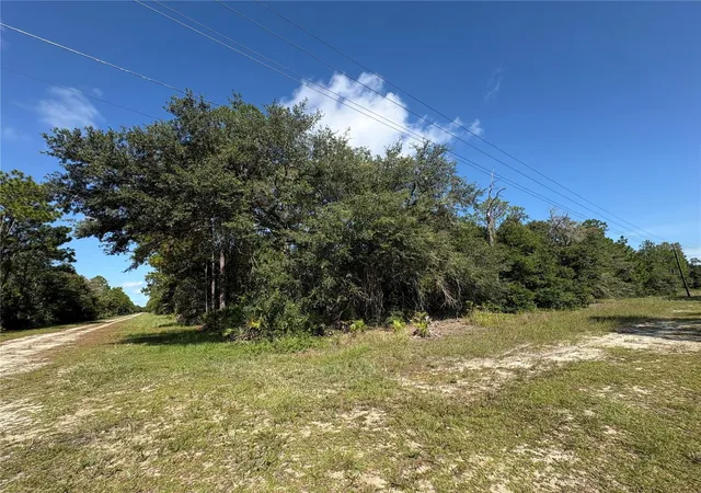 Photo 2 of Land for sale at 0 Alba, Indian Lake Estates, FL 33855 | MLS# P4939789 | Listing updated on 2026-09-06
