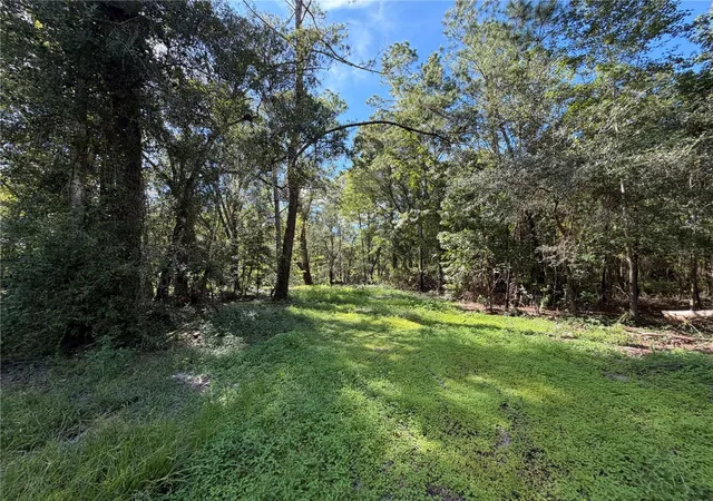 Photo 2 of Land for sale at 35436 Reynolds St, Dade City, FL 33523 | MLS# TB8546085 | Listing updated on 2026-10-09