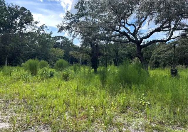 Photo 2 of Land for sale at 11017 Tracey Ct, New Port Richey, FL 34654 | MLS# W7889259 | Listing updated on 2026-10-09