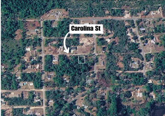 Photo 3 of Land for sale at 0 Carolina, Paisley, FL 32767 | MLS# CC857705 | Listing updated on 2026-10-09