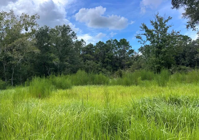 Photo 2 of Land for sale at 11025 Tracey Ct, New Port Richey, FL 34654 | MLS# W7889261 | Listing updated on 2026-10-09