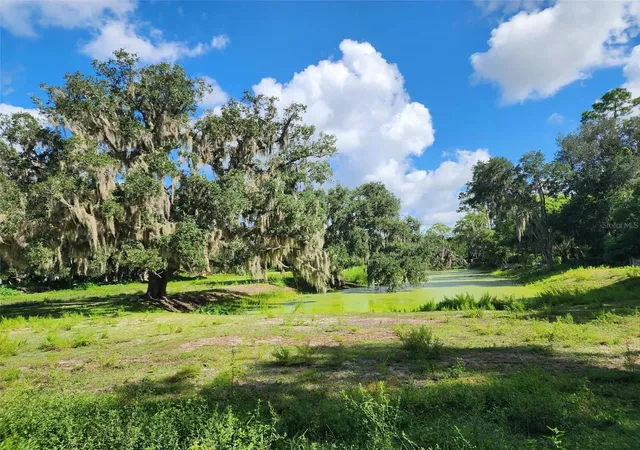 Photo 2 of Single family home for sale at 3102 Thonotosassa Rd, Plant City, FL 33565 | MLS# P4939791 | Listing updated on 2026-09-06
