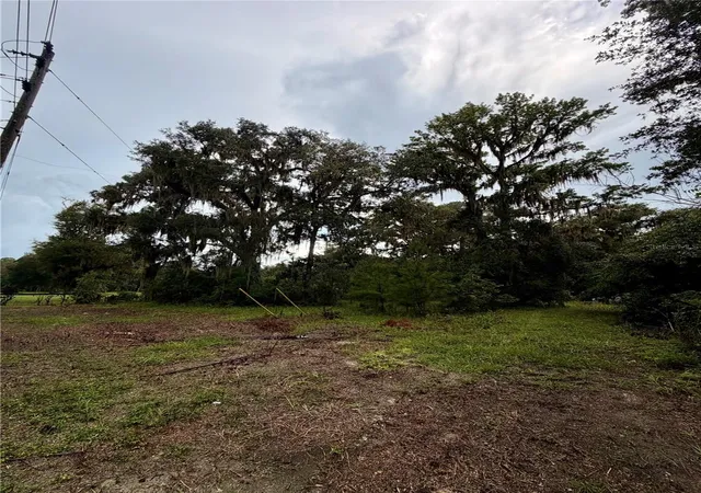 Photo 2 of Land for sale at 12602 Sw Williston Rd, Micanopy, FL 32667 | MLS# GC543311 | Listing updated on 2026-09-07