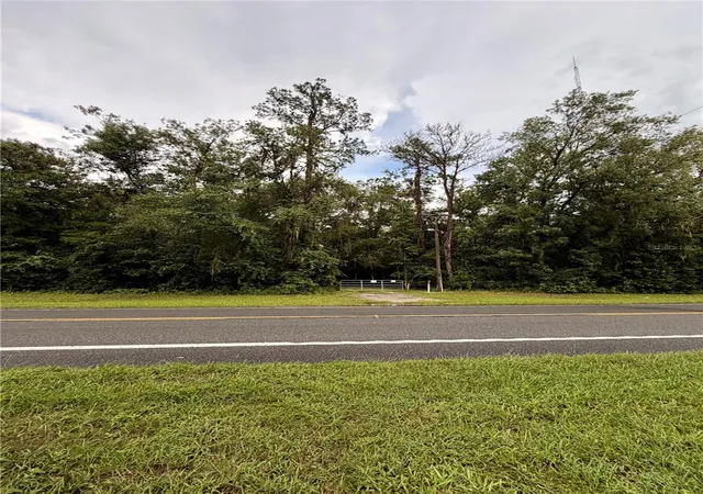 Photo 4 of Land for sale at 12602 SW Williston Rd, Micanopy, FL 32667 | MLS# GC543311 | Listing updated on 2026-09-07
