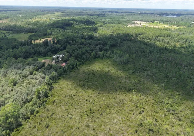 Photo 4 of Land for sale at Crocus Ln, Hawthorne, FL 32640 | MLS# O6439677 | Listing updated on 2026-09-16