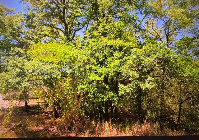 Land for sale at 252 Locust Ln, OCALA, FL 34472 | MLS# OM731821