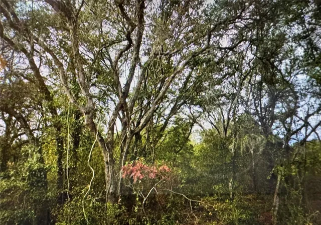 Photo 1 of Land for sale at 0 Se 141st Avenue, Ocklawaha, FL 32179 | MLS# OM731823 | Listing updated on 2026-09-07