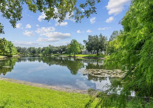 Photo 3 of Single family home for sale at 6243 Andreozzi Ln, Windermere, FL 34786 | MLS# O6439730 | Listing updated on 2026-09-18