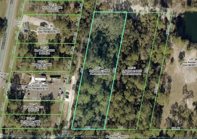 Land for sale at Merryhill Dr, WEBSTER, FL 33597 | MLS# TB8546216