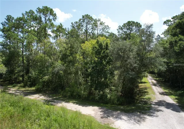 Photo 2 of Land for sale at Merryhill Dr, Webster, FL 33597 | MLS# TB8546216 | Listing updated on 2026-09-07