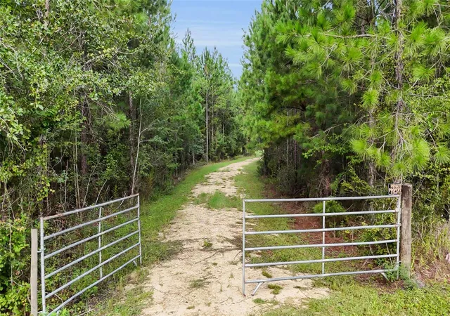 Photo 3 of Land for sale at 00 Southwest 75th Ave, Starke, FL 32091 | MLS# OM731835 | Listing updated on 2026-09-18