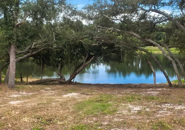 Photo 3 of Land for sale at 5387 Se 168th Avenue, Ocklawaha, FL 32179 | MLS# TB8546291 | Listing updated on 2026-09-13