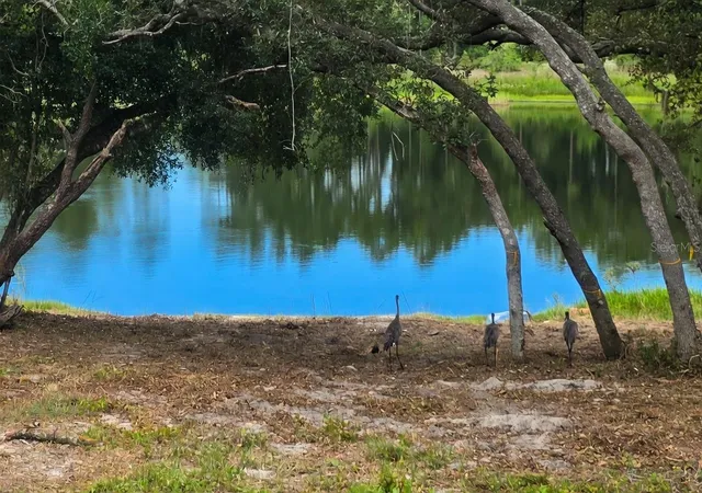 Photo 3 of Land for sale at 5387 SE 168th Avenue, Ocklawaha, FL 32179 | MLS# TB8546291 | Listing updated on 2026-09-13