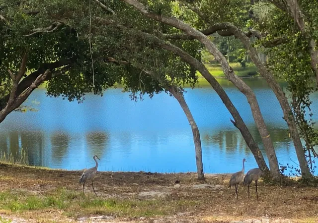 Photo 4 of Land for sale at 5387 SE 168th Avenue, Ocklawaha, FL 32179 | MLS# TB8546291 | Listing updated on 2026-09-13
