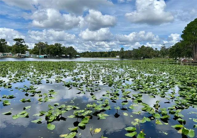 Photo 1 of Single family home for sale at 1638 Paradise Ln, Astor, FL 32102 | MLS# R4911942 | Listing updated on 2026-09-16