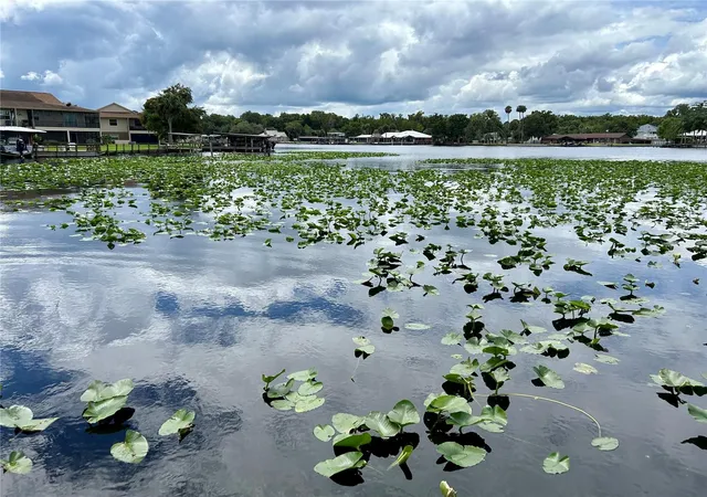 Photo 3 of Single family home for sale at 1638 Paradise Ln, Astor, FL 32102 | MLS# R4911942 | Listing updated on 2026-09-16