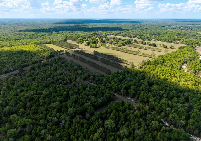 Photo 3 of Land for sale at 4639 Sw Wilson Springs Rd, Fort White, FL 32038 | MLS# W7889281 | Listing updated on 2026-09-24