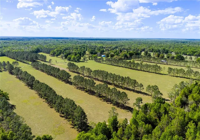 Photo 3 of Land for sale at 4639 SW Wilson Springs Rd, Fort White, FL 32038 | MLS# W7889281 | Listing updated on 2026-09-24