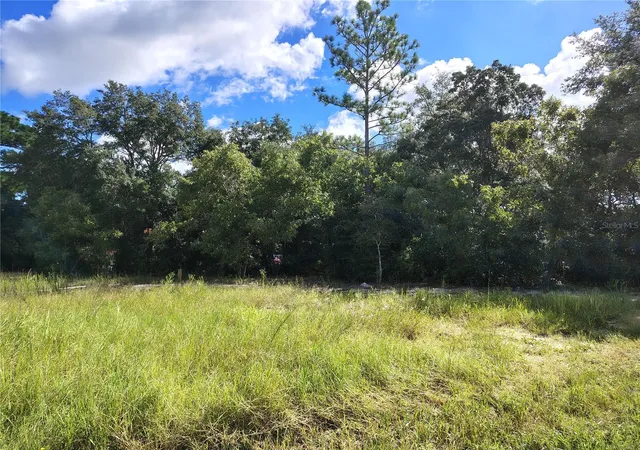 Land for sale at Silver Springs Shrs Unit16, OCALA, FL 34472 | MLS# TB8546336