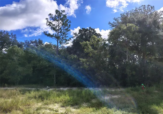Photo 1 of Land for sale at Silver Springs Shrs Unit16, Ocala, FL 34472 | MLS# TB8546336 | Listing updated on 2026-09-08