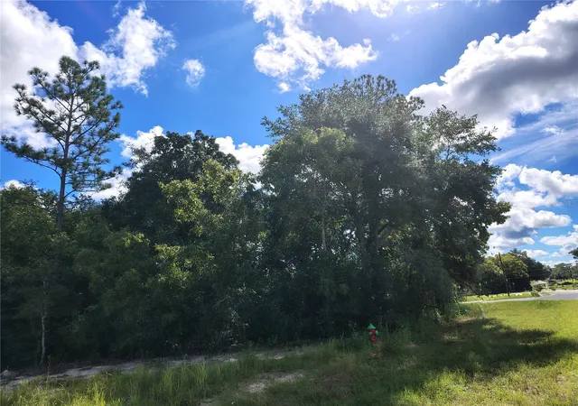 Photo 2 of Land for sale at Silver Springs Shrs Unit16, Ocala, FL 34472 | MLS# TB8546336 | Listing updated on 2026-09-08